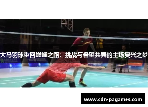 大马羽球重回巅峰之路：挑战与希望共舞的主场复兴之梦