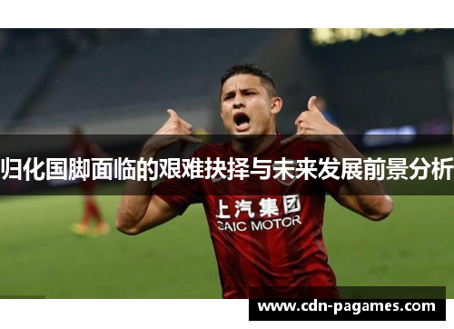 归化国脚面临的艰难抉择与未来发展前景分析