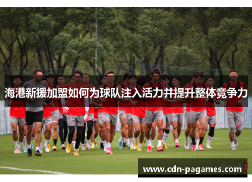 海港新援加盟如何为球队注入活力并提升整体竞争力