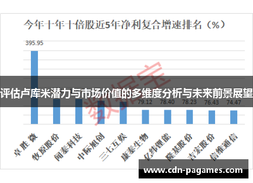 评估卢库米潜力与市场价值的多维度分析与未来前景展望