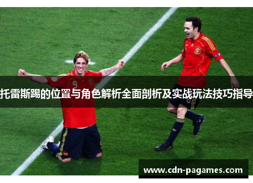 托雷斯踢的位置与角色解析全面剖析及实战玩法技巧指导