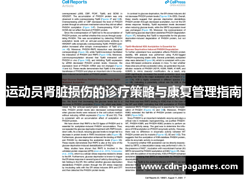 运动员肾脏损伤的诊疗策略与康复管理指南